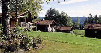 Natur auf der Sommerreise in Schweden im Urlaub für Familien.