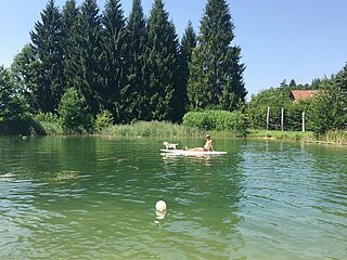 Badesee im sommer in der Hausgalerie von der Sommerreise der Ferienanlage Forellenhof in Kärnten in Österreich am Faaker See.
